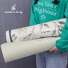 專業促銷TP-LINK TL-SG108E 8埠 10/100/1000Mbps專業級Gigabit交換器 歷史價格詳細信息