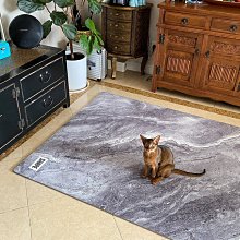 現貨 雙人瑜伽墊子防滑地墊家用健身墊隔音親子舞蹈減震運動厚墊子 瑜伽墊 歷史價格詳細信息