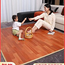 暖腳墊 110V插電式電熱暖腳墊 五檔控溫 電熱鞋 電熱墊 電熱 恒溫 暖腳寶 電熱暖腳器 電暖鞋 歷史價格詳細信息