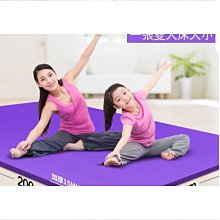 10號(130cm)_Annys安妮公主 水鑽芭蕾女孩秋冬款細線格紋拼接無袖洋裝 歷史價格詳細信息