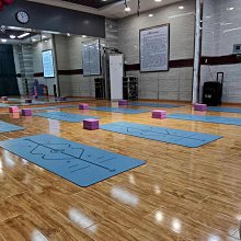 瑜伽墊免費LOGO定制瑜伽墊子體位線PU天然橡膠防滑款瑜伽館專業土豪地墊#促銷 #現貨 歷史價格詳細信息