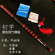 魔笛 陳誌音 西南師範大學出版社 9787562178514 歷史價格詳細信息