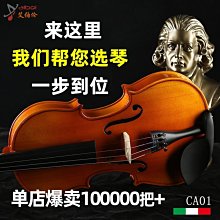 手工實木小提琴初學者兒童成人演奏提琴44自然色雲杉木小提琴 歷史價格詳細信息