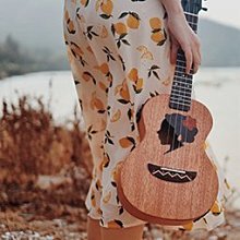 特價尤克里里23寸26寸初學者入門尖角ukulele小吉他 歷史價格詳細信息