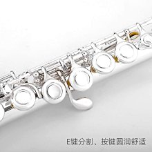 16孔長笛包挎包帆布長笛輕體包彎頭長笛盒可放雙笛頭長笛盒單肩背 歷史價格詳細信息