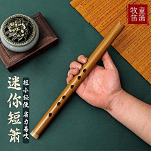 古風蕭樂器迷你短笛無膜孔橫笛初學者入門竹笛成人隨身小笛子締造伊人 歷史價格詳細信息