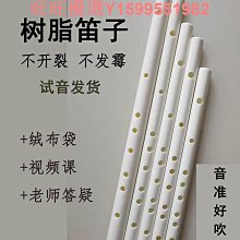 竹笛笛子樂器初學者入門E 制兒童成人演奏F調古風橫笛官方旗艦店 歷史價格詳細信息