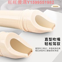 8孔小薩 簡易迷妳薩克斯中音哨pian笛頭成人初學者 歷史價格詳細信息