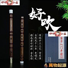 【限時下殺】笛子 長笛 銅笛子純銅加厚專業演奏agfedc竹笛制高級橫笛金屬樂器簡單易學 歷史價格詳細信息