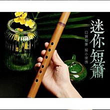 古風蕭樂器迷你短笛無膜孔橫笛初學者入門竹笛成人隨身小笛子締造伊人 歷史價格詳細信息