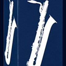 Vandoren低音單簧管哨片彎德林單簧管哨片BASS降b單簧管哨片藍盒 歷史價格詳細信息