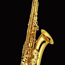 ∮愛友樂器∮ 台灣 Air Music【Sax Strap 薩克斯風 中音/次中音/上低音 尼龍 背帶 吊帶】 歷史價格詳細信息