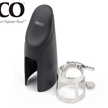 【小叮噹的店】美國 RICO RCSS-S 高音 薩克斯風 通條 棉質  SAPRANO SAX 歷史價格詳細信息