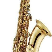 【非比藝術】【中音 薩克斯風 樂器箱 樂器盒 拖車箱】（另有次中音） 歷史價格詳細信息