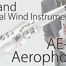 薩克斯風 Roland AE-10 數位電子吹管 AE10 公司貨 歷史價格詳細信息