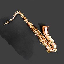 大后里MS925純銀高音吹嘴~特別贈送瑞福那束圈 歷史價格詳細信息