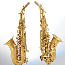 ＊雅典樂器世界＊極品 台灣製造 高質感 Soprano SAX 高音 薩克斯風 隨行箱 硬盒 歷史價格詳細信息