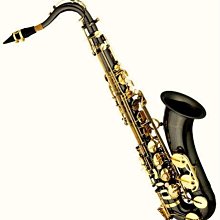 【樂器王u75】中音薩克斯風【AT-132 直購：14800元】 #F Alto Sax漆金 雙色 98黃銅 歷史價格詳細信息