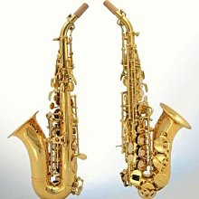 【樂器王u75】全新 高音薩克斯風 【SP-94 直購：8800元 漆金 】 降B 灣管小高音薩克斯風 歷史價格詳細信息