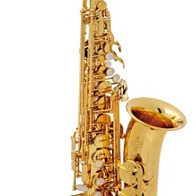 Alto saxophone 硬式防震抗摔防水 專業中音薩克斯風包 兩用型可提可雙肩背 樂器包 樂器盒 背包 提箱 提盒 歷史價格詳細信息
