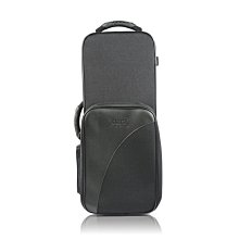 §唐川音樂§【Selmer Concept Soprano 高音吹嘴 + Air Music Pro 束圈專業套裝組】 歷史價格詳細信息