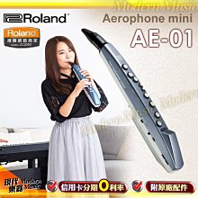 免運 長笛 豎笛 笛子 迷你短笛無膜孔橫笛學生入門竹笛初學者兒童成人樂器女隨身小笛子 歷史價格詳細信息