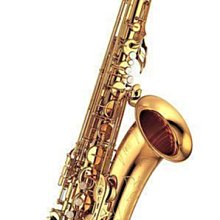 YTS-380 YAMAHA TENOR 次中音 日本製近全新薩克斯風 歷史價格詳細信息