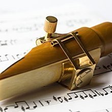 【非比藝術】【Brancher Crescent 加寬型薩克斯風背帶 L 裸銅】Strap 歷史價格詳細信息