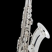 ♪ 后里薩克斯風玩家館 ♫『加拿大Legere Signature 合成竹片』大師款．次中音薩克斯風用 歷史價格詳細信息