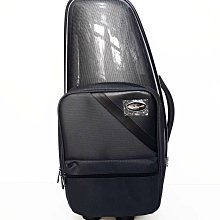 **奧洛斯樂器**Rico公司貨 中音薩克斯風清潔組/管身通條+頸部通條 歷史價格詳細信息