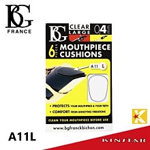 【金聲樂器】豎笛通條布 管樂器拭琴布 25x25 歷史價格詳細信息