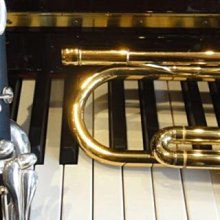 【小樂器】YAMAHA低音豎笛 YCL-621 附原廠盒 免運費 歷史價格詳細信息