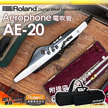 AE AE120 MK2 旗艦級落地型喇叭（東億公司貨）Acoustic Energy 落地式喇叭 MKII 歷史價格詳細信息