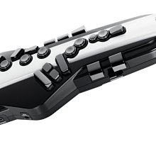 ＊雅典樂器世界＊ 極品 ROLAND AE-30 Aerophone Pro 數位 電子 薩克斯風 歷史價格詳細信息