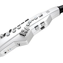 【2023最新推出！】野樂 Camping Ace 金牛星快速爐 ARC-2109 快速爐 歷史價格詳細信息