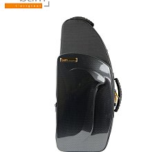 【現代樂器】法國BAM Violin Case 小提琴盒Supreme Ice系列 SUP2002XLWN 歷史價格詳細信息