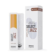 【小叮噹的店】美國 RICO RCSS-S 高音 薩克斯風 通條 棉質  SAPRANO SAX 歷史價格詳細信息