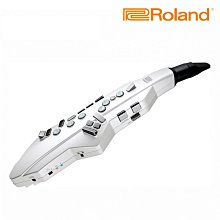 【ROLAND 樂蘭】AE-05C 數位吹管(原廠公司貨 商品保固有保障) 歷史價格詳細信息