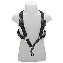 ♪LC 張連昌薩克斯風♫ 『BG S02M 中音 次中音 上低音 薩克斯風 吊帶』 歷史價格詳細信息