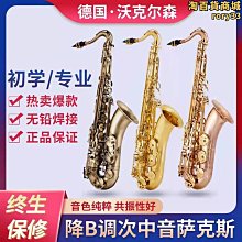 沃克森小提琴專業入門BE 初學者兒童成人專業級 高級實木手工虎紋 歷史價格詳細信息