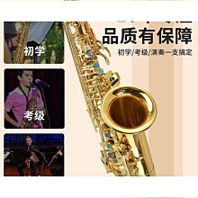 熱銷 【考級演奏 】古箏琴初學者考級演奏十級入門專業教學163標準尺寸【景秀商城】 歷史價格詳細信息