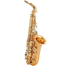 【締造】瑞雅彈古箏指甲玳瑁色成人專業演奏級雙面弧古箏指甲義甲片 歷史價格詳細信息