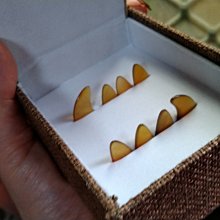 兩盒一起賣+國軍塗裝水貼紙~1/72~Tamiya,二戰英國Mosquito蚊式戰機(凹模) 歷史價格詳細信息