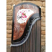 【爆款】古琴罩子防塵古箏琴披磨砂透明揚琴罩琴衣可掛牆上展示防水防灰 歷史價格詳細信息