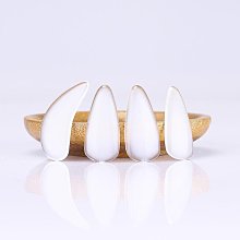 【締造】古箏指甲專業兒 演奏級搖指神器成人大號中號小號彈古箏的練功 歷史價格詳細信息