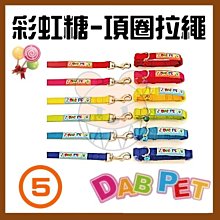 【幸福寶貝寵物Go】台灣製 DAB PET《4分，中型犬》豹紋-插扣項圈(藍.粉.黃三種顏色) 歷史價格詳細信息