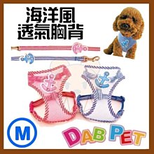 【幸福寶貝寵物Go】台灣製 DAB PET《4分，中型犬》豹紋-插扣項圈(藍.粉.黃三種顏色) 歷史價格詳細信息