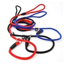 P鏈項圈寵物P鏈編制項圈狗頸圈脖圈德牧金毛小型犬P鏈寵物項圈-特價~特價 歷史價格詳細信息