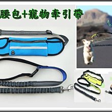 運動遛狗腰包男女戶外健身跑步腰包7英寸蘋果華為通用大手機腰包 歷史價格詳細信息