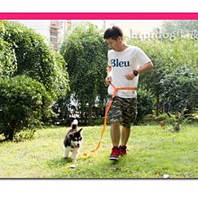 寵物狗狗牽引繩/帶 訓練專用加長狗繩子5米/10米 加長遛狗繩 包郵 歷史價格詳細信息